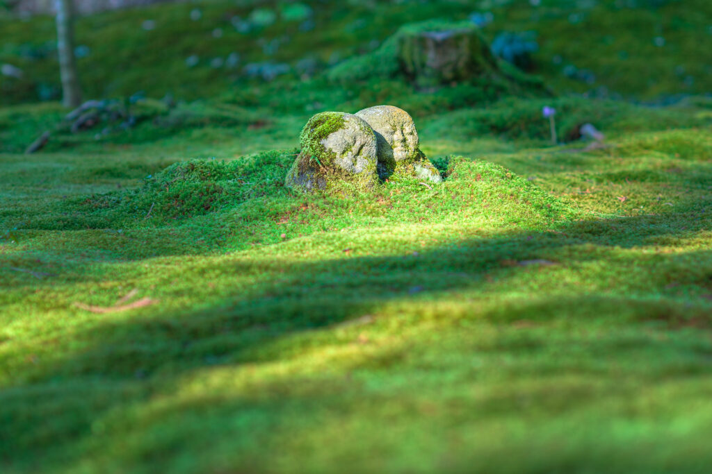 herbe verte avec une statue fengshui