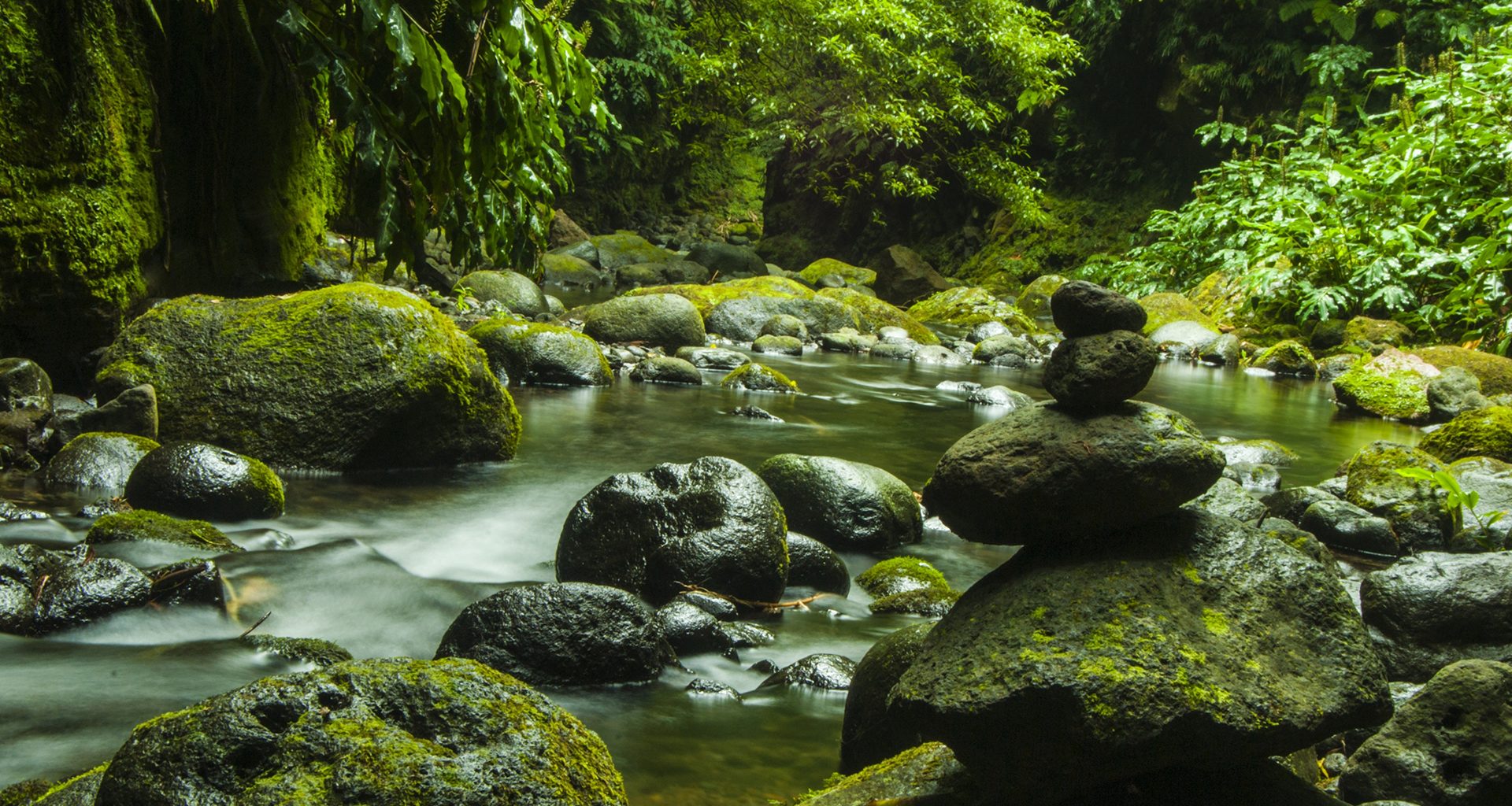 cours d'eau en foret avec des rochers couverts de mousse