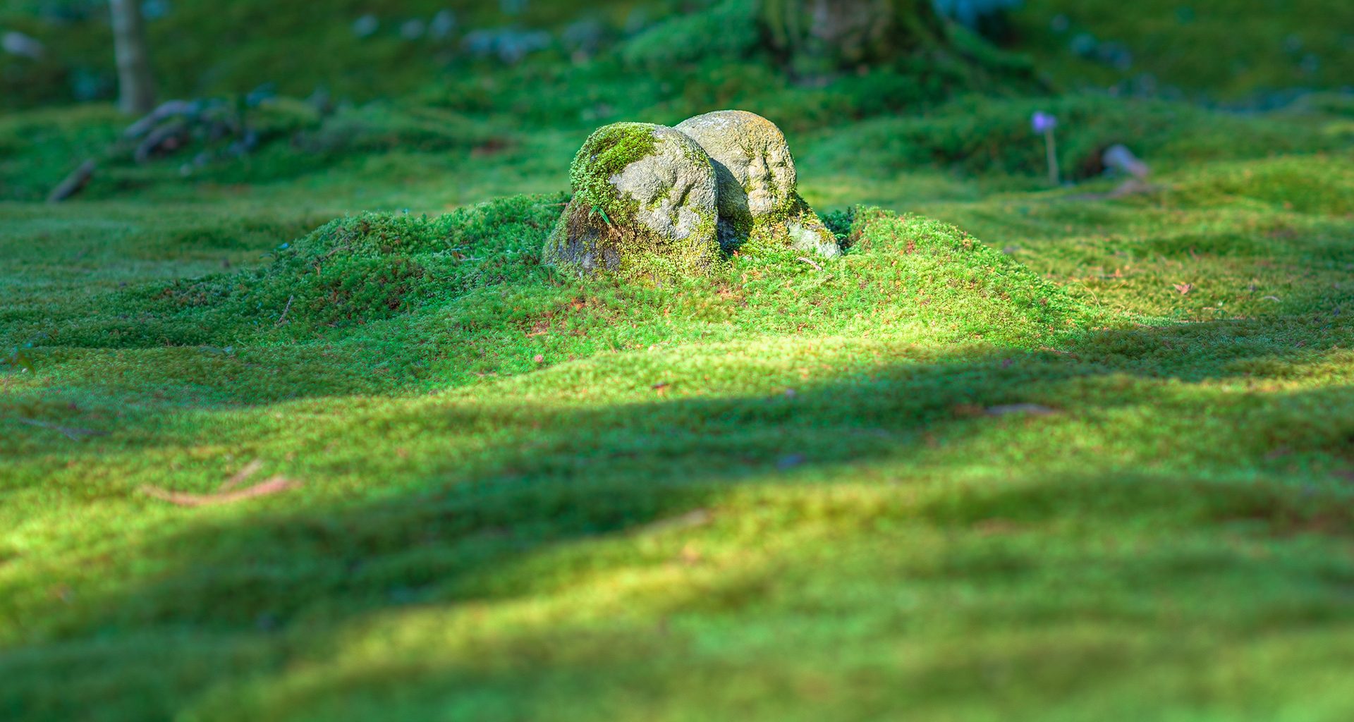 herbe verte avec une statue fengshui